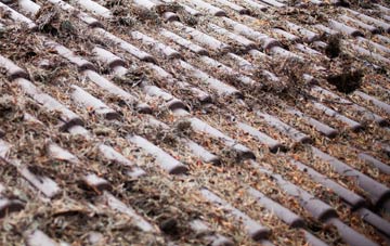 Holehouse roof cleaning companies