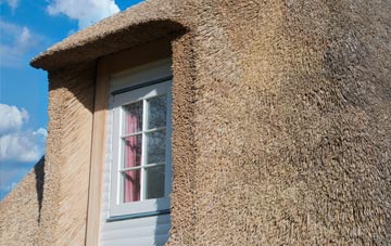 Holehouse thatch roof disadvantages